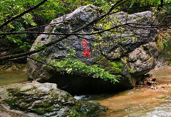 金丝峡景区第 19 张图片