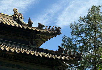 岱庙第 50 张图片