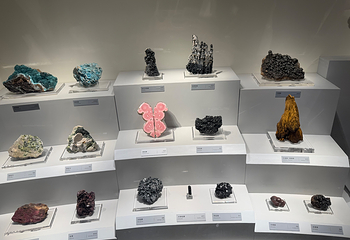 台湾自然科学博物馆第 22 张图片