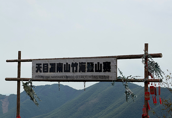 天目湖南山竹海第 152 张图片