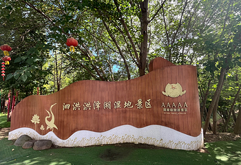 泗洪洪泽湖湿地景区第 55 张图片