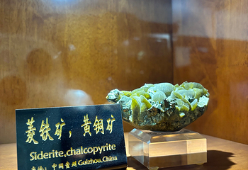 青岛德国总督楼旧址博物馆第 90 张图片