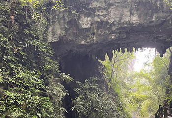 龙水峡地缝第 50 张图片
