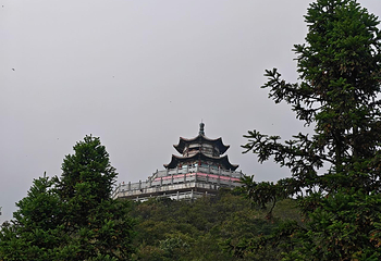 天门山国家森林公园第 561 张图片