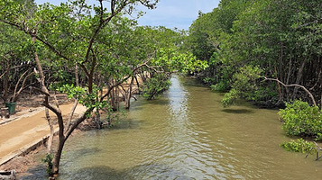 芹蒢猴岛旅游区