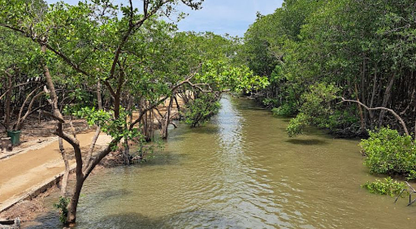 芹蒢猴岛旅游区