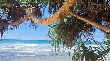 Dream Cabana - Rooms, Restaurant, Rope Swing, swimming beach and free sunbeds