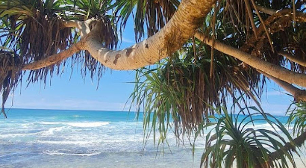 Dream Cabana - Rooms, Restaurant, Rope Swing, swimming beach and free sunbeds