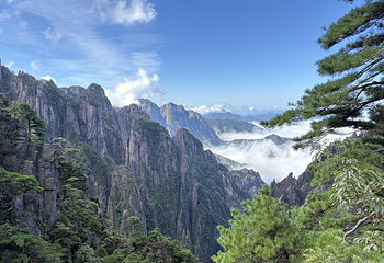 黄山风景区第 38 张图片