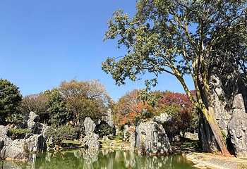石林风景区第 190 张图片