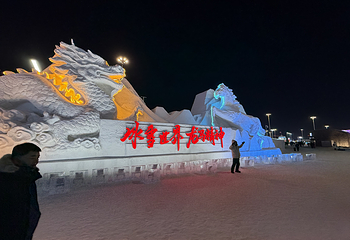 哈尔滨冰雪大世界第 533 张图片