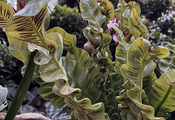 太原植物园第 31 张图片