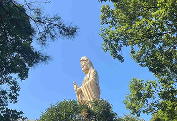 普陀山风景区第 297 张图片