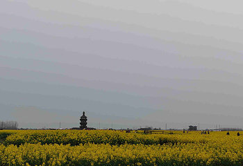千垛景区第 38 张图片