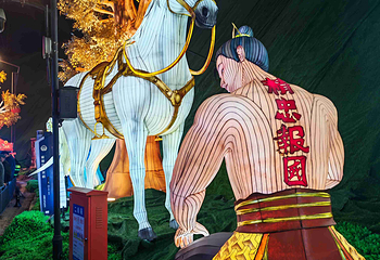 自贡·中华彩灯大世界第 20 张图片