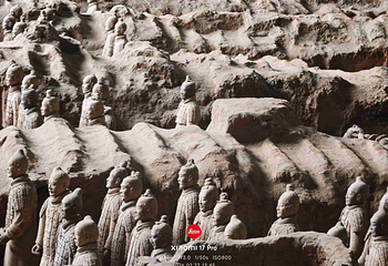秦始皇帝陵博物院(兵马俑)第 333 张图片