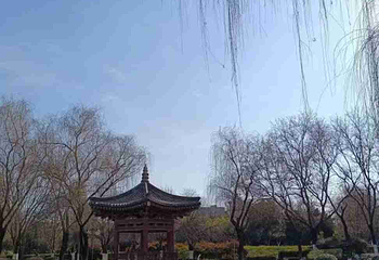 青龙寺第 49 张图片