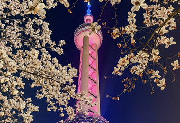 东方明珠第 90 张图片
