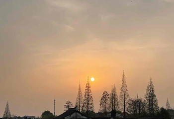 朱家角古镇景区第 215 张图片