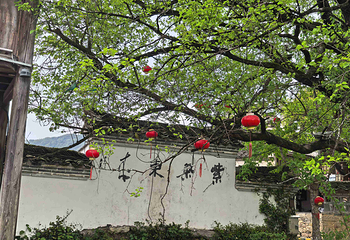 查济第 44 张图片