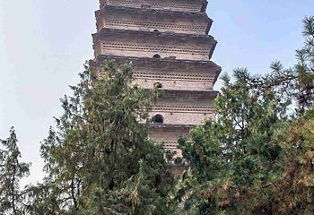 小雁塔遗址公园第 85 张图片