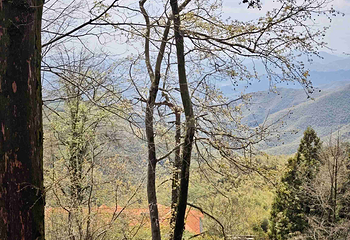 莫干山风景名胜区第 73 张图片