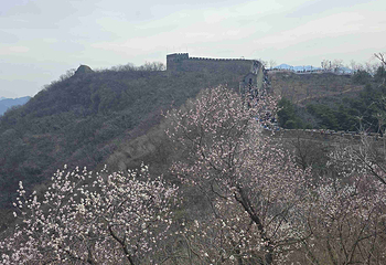 慕田峪长城第 340 张图片