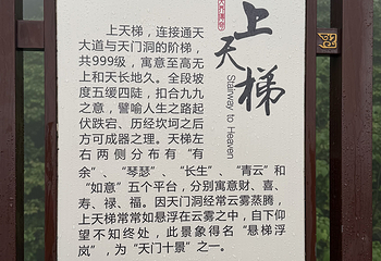 天门山国家森林公园第 361 张图片