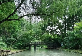 同里国家湿地公园第 131 张图片
