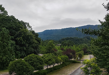 碧峰峡景区第 149 张图片