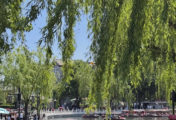 什刹海风景区第 171 张图片