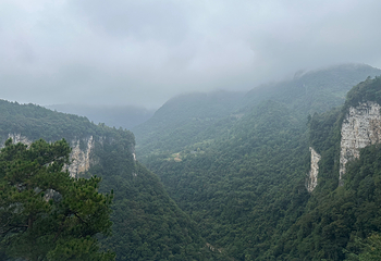 张家界大峡谷第 79 张图片