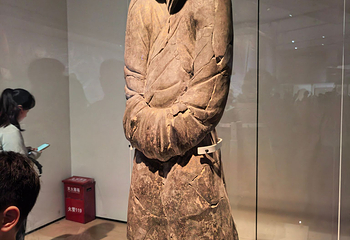 秦始皇帝陵博物院(兵马俑)第 319 张图片