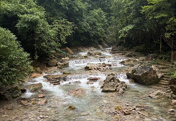 张家界大峡谷第 125 张图片