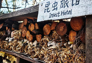 红山森林动物园第 150 张图片