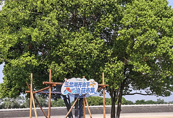 三岔湖景区第 64 张图片