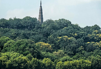 西湖风景名胜区第 250 张图片