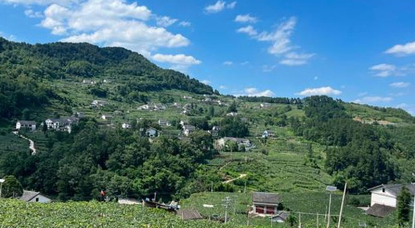 息烽葡萄沟旅游景区