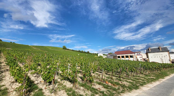 Pressoria - Voyage sensoriel au coeur du Champagne