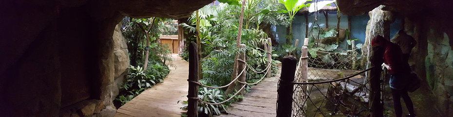 昂内维尔水族馆第 16 张图片