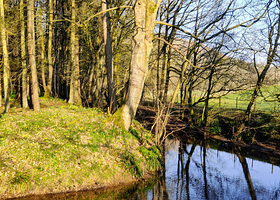 北约克沼泽国家公园