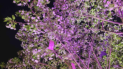 禅意小镇·拈花湾第 289 张图片