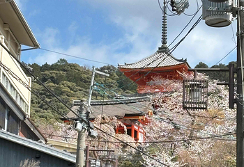 清水寺第 76 张图片