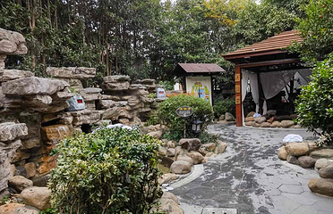 树山生态村第 61 张图片
