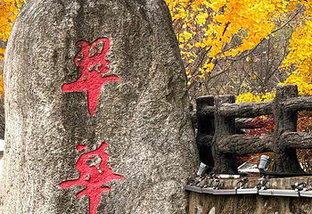 翠华山·秦岭终南山世界地质公园第 55 张图片