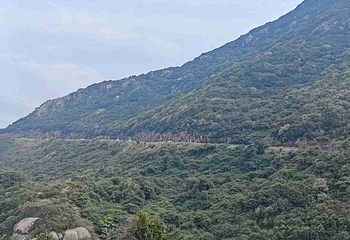 朱家尖大青山景区第 23 张图片