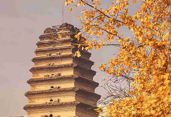 小雁塔遗址公园第 59 张图片