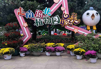 沈阳植物园第 92 张图片