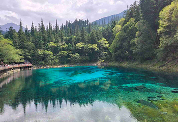 九寨沟风景区第 228 张图片