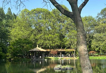 玄武湖景区第 41 张图片